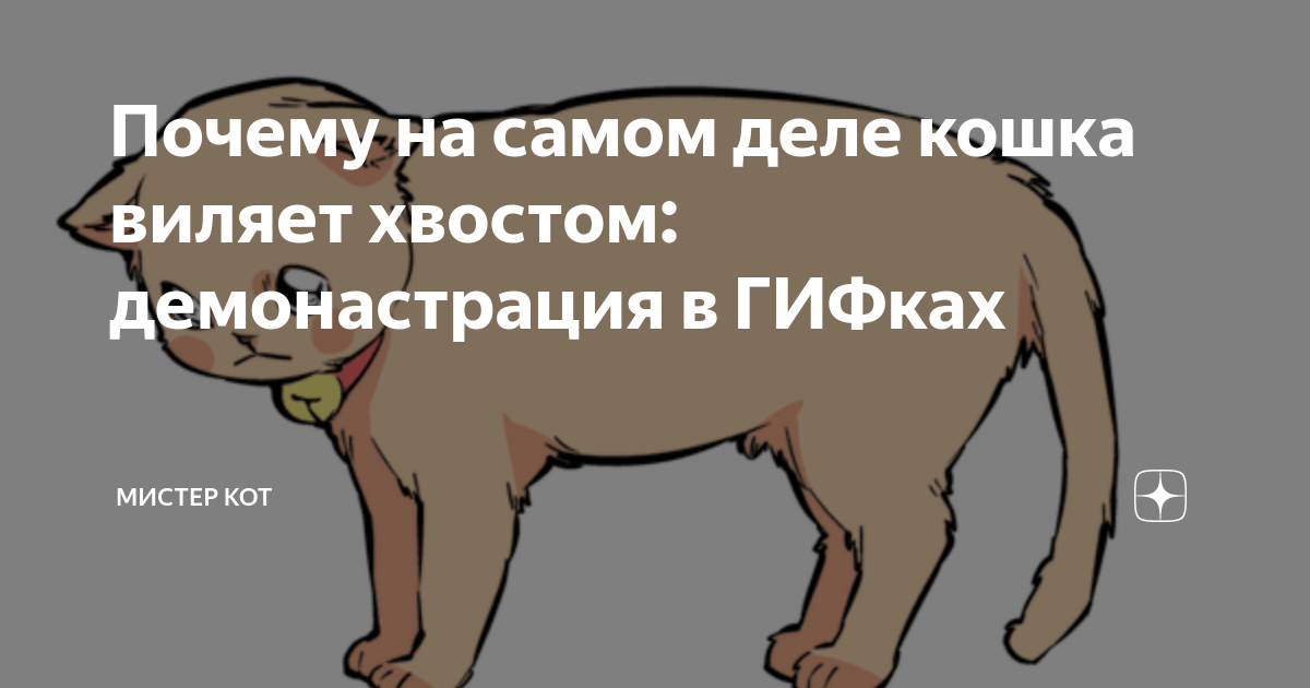 Почему кошки виляют хвостом. Кошка виляет хвостом. Что означает что кот виляет хвостом. Зачем кошки виляют хвостом. Почему кот лежит и виляет хвостом.