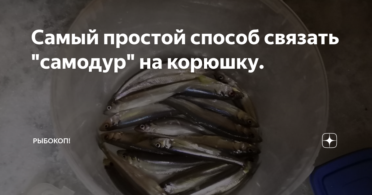 Самодур на корюшку