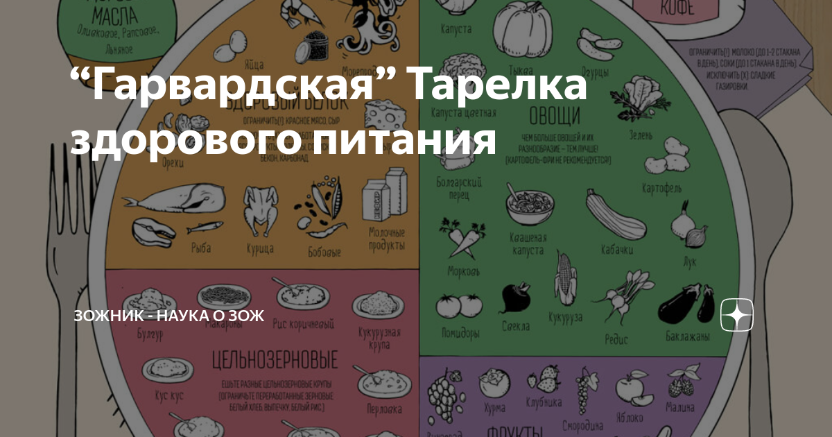 Гарвардская тарелка питания. Гарвардская тарелка здорового питания. Гарвардская тарелка здоровогпитания. Гарвардская тарелка инфографика. Правило Гарвардской тарелки.