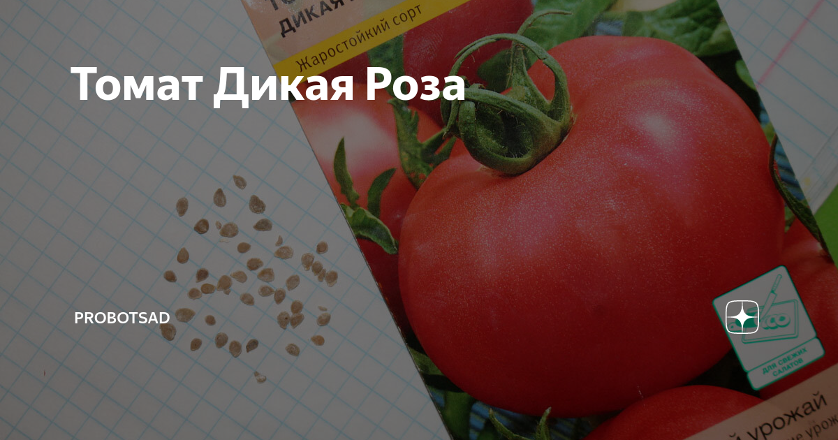 Семена Томат Дикая роза: описание сорта, фото - купить с доставкой или почтой Ро