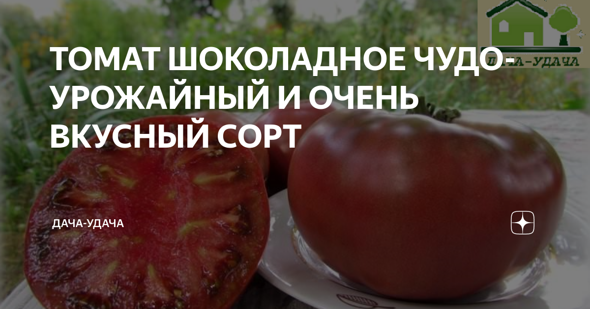 Советы опытных садоводов для успешного выращивания уникального томата