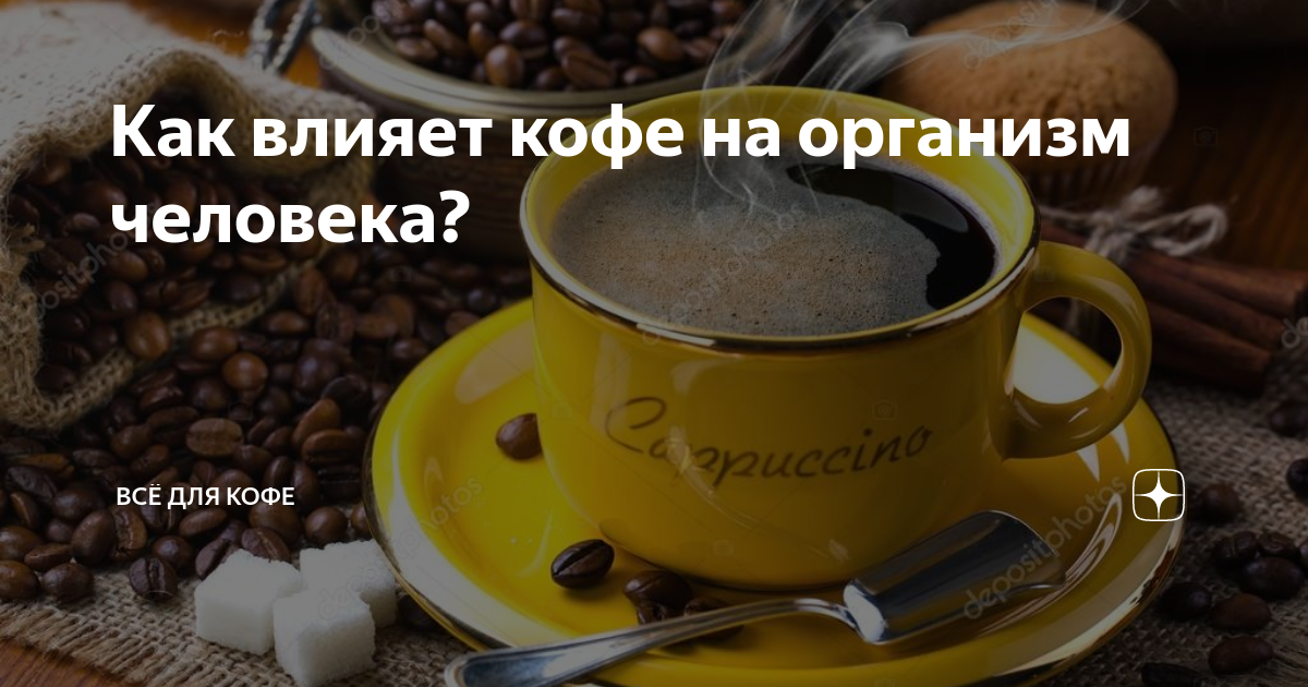 Презентация "Любимые напитки: чай и кофе"