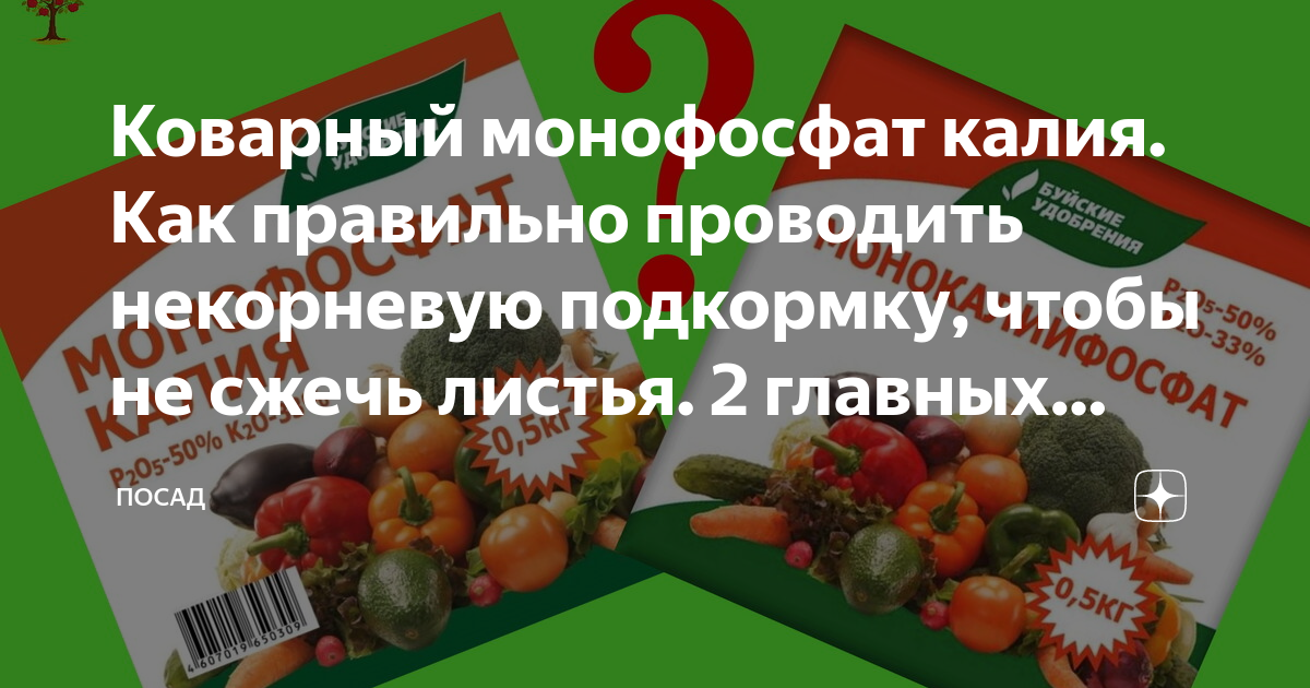 Монофосфат калия для цветов. Монофосфат калия для комнатных цветов.