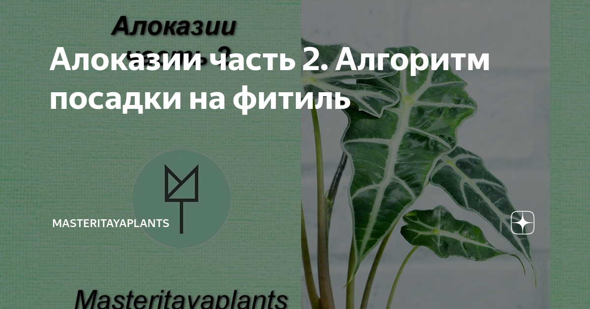 можно ли спасти уинтона холмса