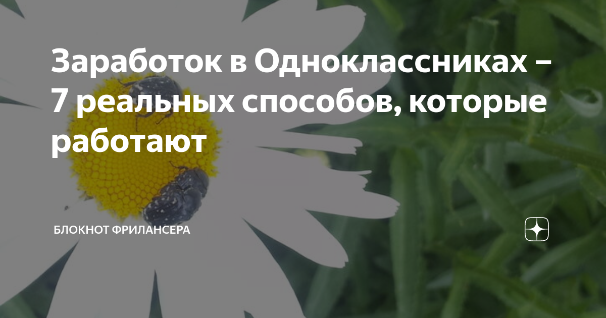 Заработок в Одноклассниках – 7 реальных способов, которые работают ...