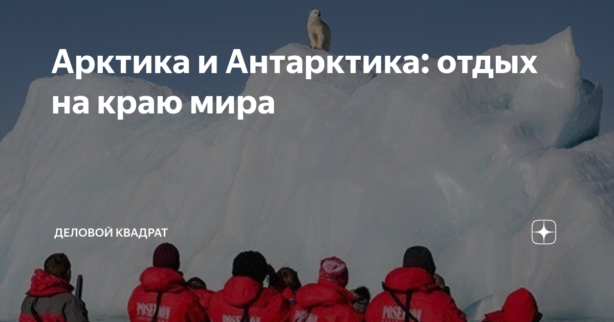 Арктика и Антарктика: отдых на краю мира | Деловой квадрат | Дзен