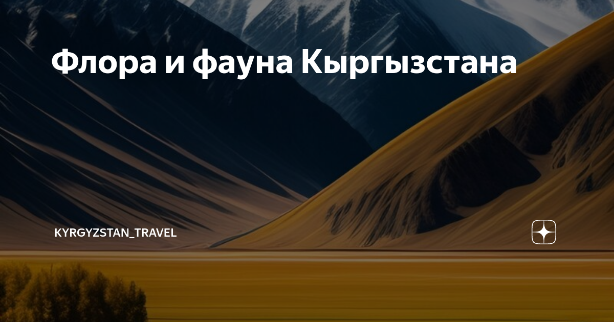 Флора и фауна Кыргызстана | Kyrgyzstan_online | Дзен