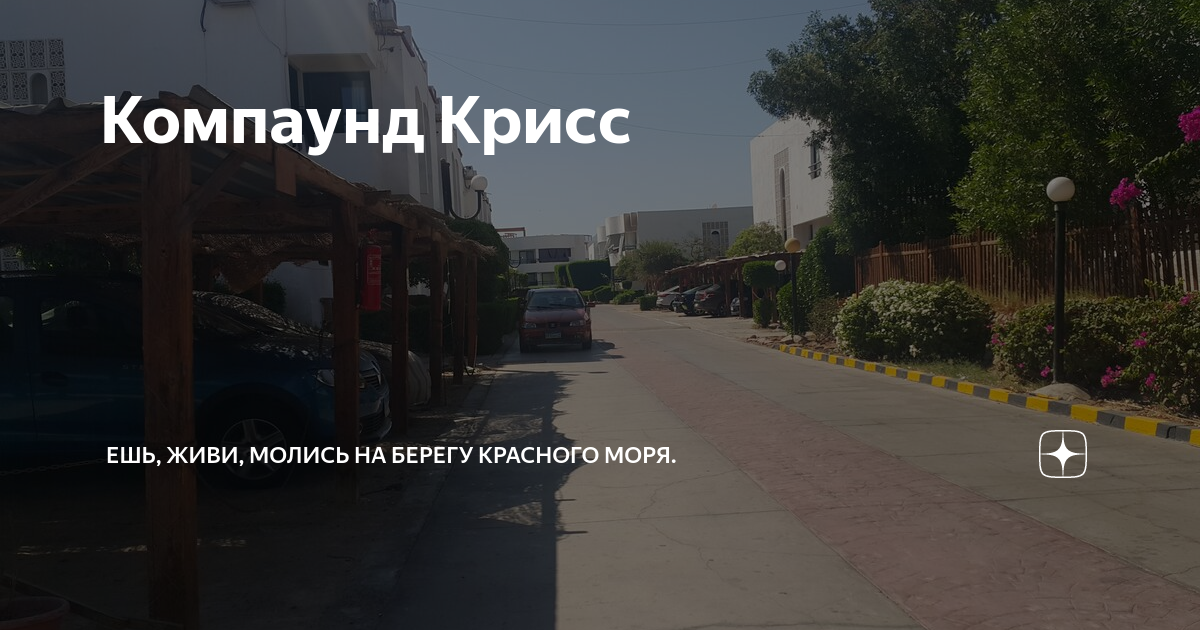 Компаунд Крисс | Шарм-эль-шейх по любви | Дзен
