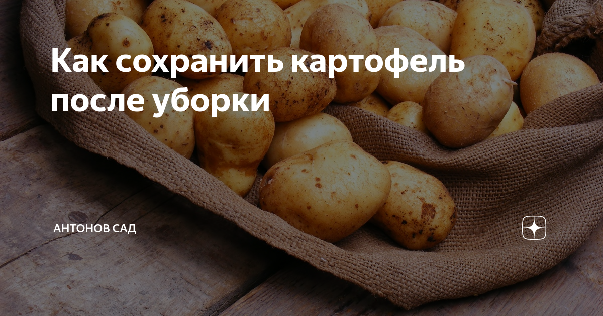 Картофель для диабетиков. Картошка при диабете. Картофель при сахарном диабете 2 типа. Картофель для диабетиков сорта.