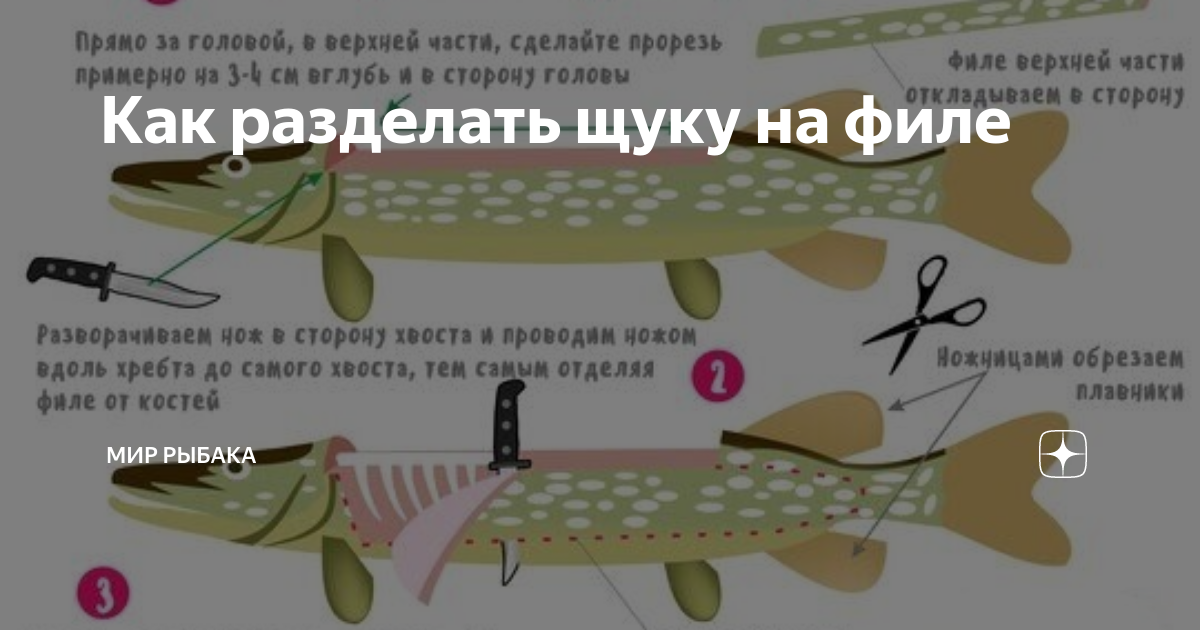 Как снять филе с щуки без костей Щука филе без костей Telegraph
