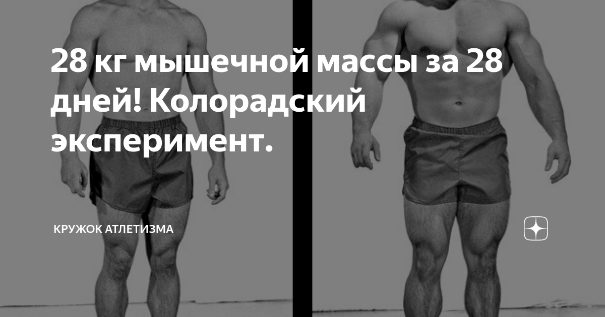 Колорадский эксперимент программа тренировок