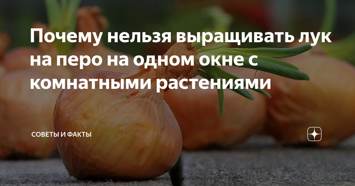 Какие дни в апреле нельзя сажать