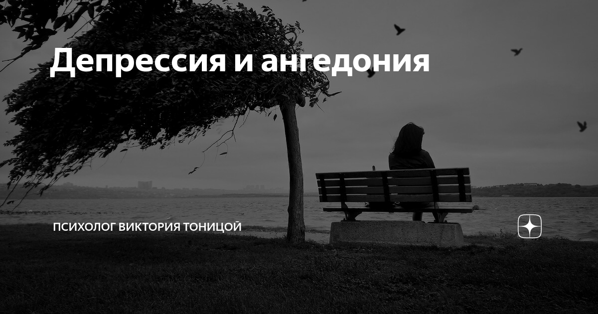 Мне густо. Осенняя печаль. Мне сегодня грустно. Грустный плюшевый мишка. Мишка тедди грустит.