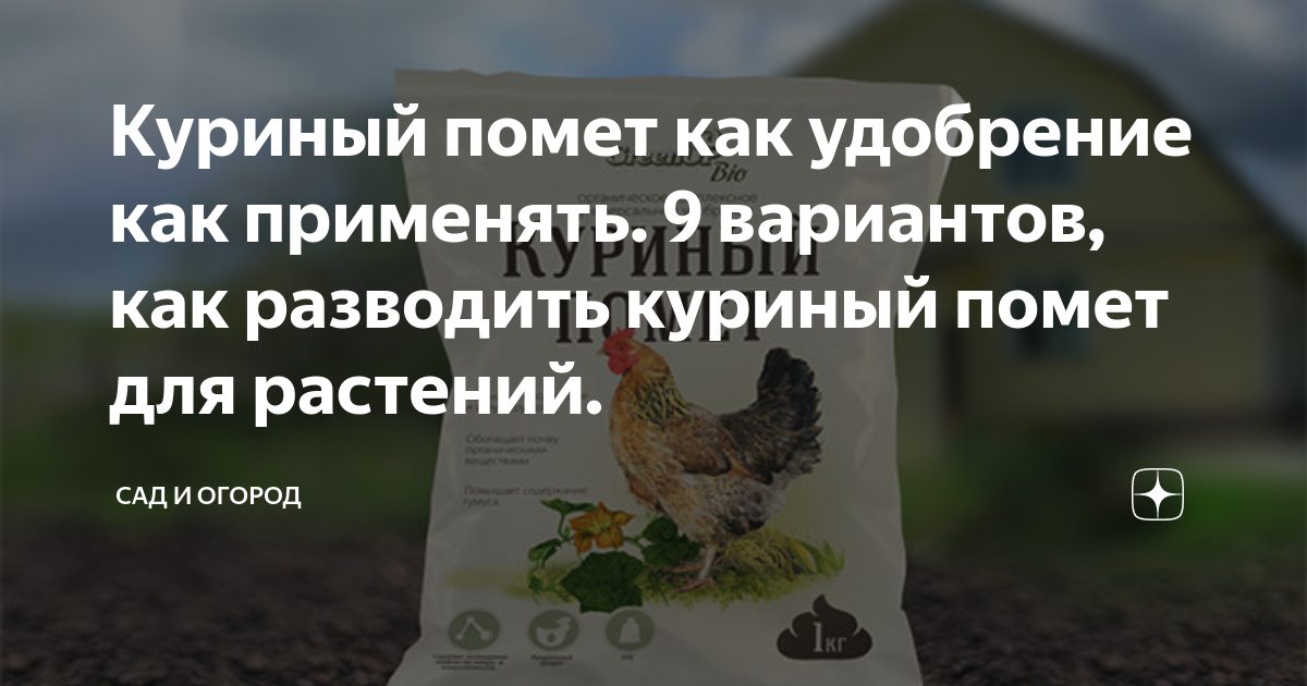 Как разводить куриный помёт для подкормки растений. Куриный помёт как удобрение как разводить. Как разводить куриный помет. Как разбавлять куриный помет для подкормки растений.