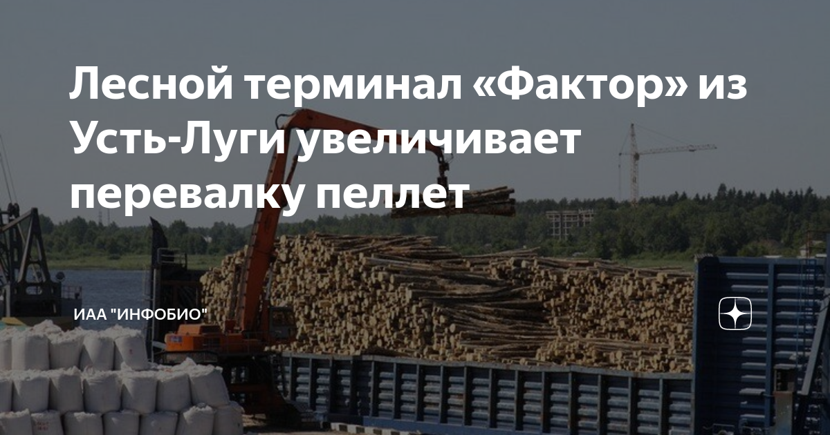 Лесной терминал «Фактор» из Усть-Луги увеличивает перевалку пеллет ...