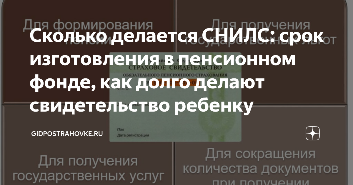 сколько делается снилс в пфр