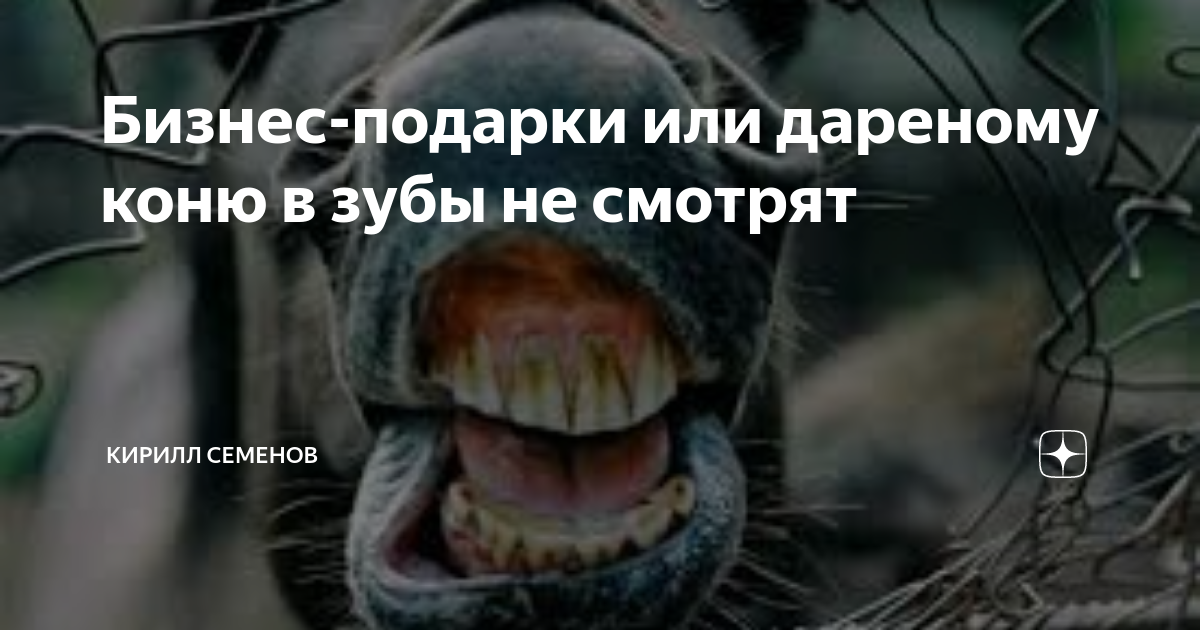 Зуб дареного коня. Дарёному коню в зубы не смотрят. Выражение дареному коню в зубы. Выражение дареному коню в зубы. Дарёному коню в зубы не.