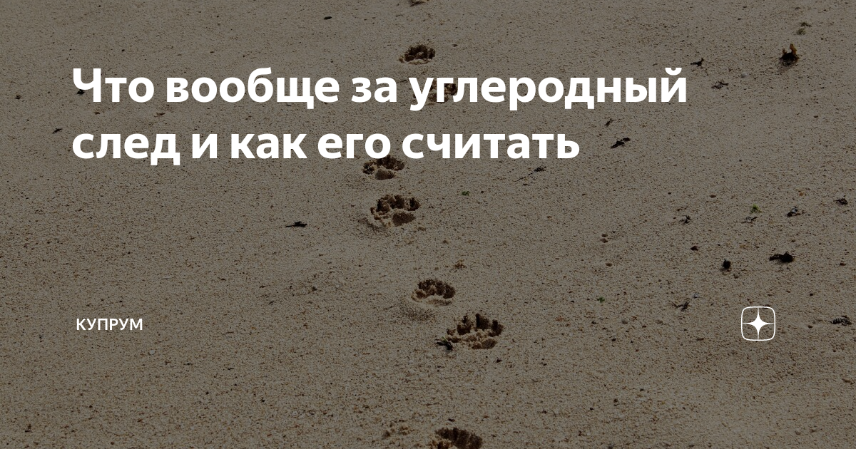 Электросуда обладают нулевым углеродным следом. Углеродный след. Нулевой углеродный след. Углеводородный след. Калькулятор углеродного следа