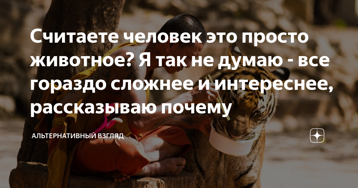 Счастливые животные. Люди это просто животные. Люди и животные. Цитаты про тварей. Мальчик с собакой.