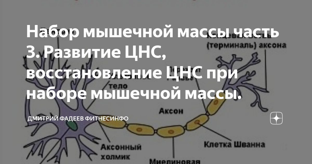 Реабилитация нервной системы презентация