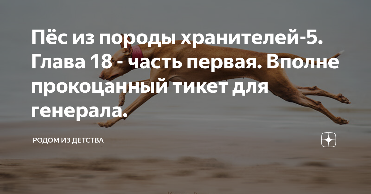 пес из породы хранителей глава 4