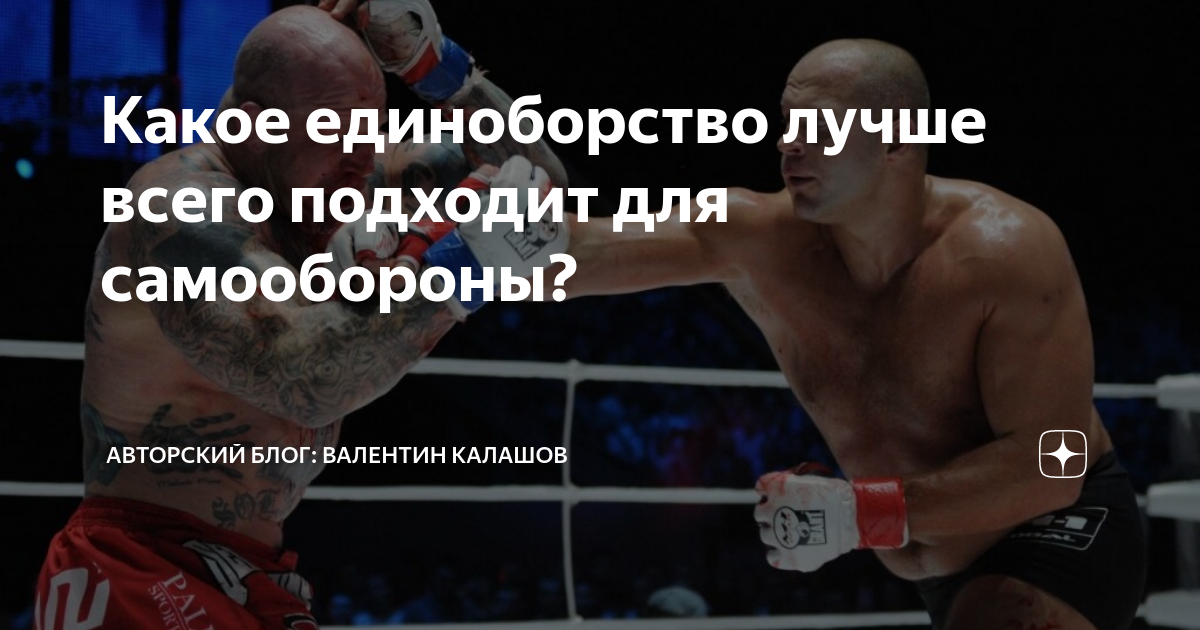 Какое единоборство лучше всего подходит для самообороны? | Путь в ...
