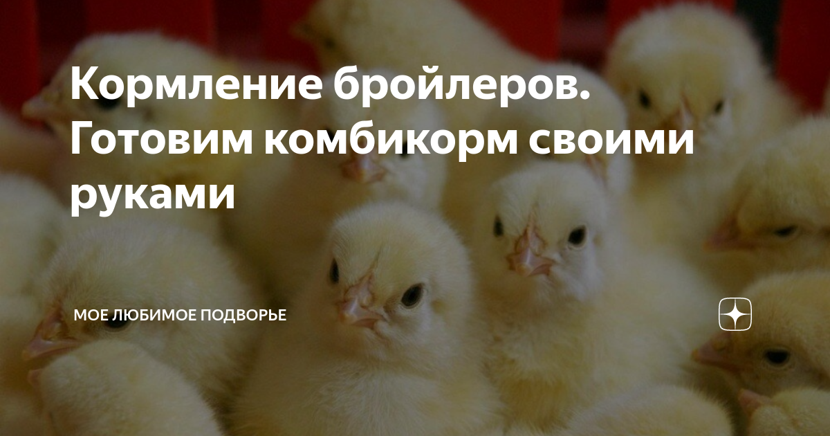 Частное подворье фото. Скотный двор для детей. Кубанская коза. Сюжетная картина на ферме. Мое любимое подворье.