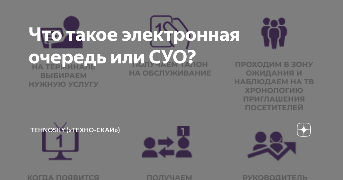 Что такое электронная очередь или СУО? | TehnoSky («Техно-Скай») | Дзен