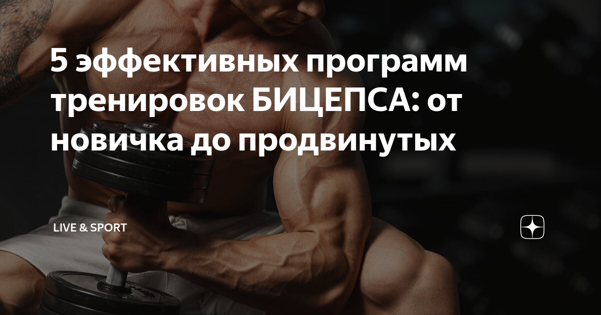 5 эффективных упражнений для увеличения БИЦЕПСА - прибавьте объем и силу