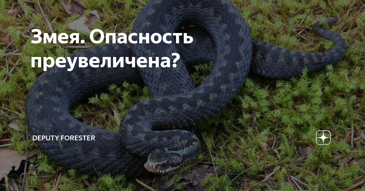 Ока как заводить