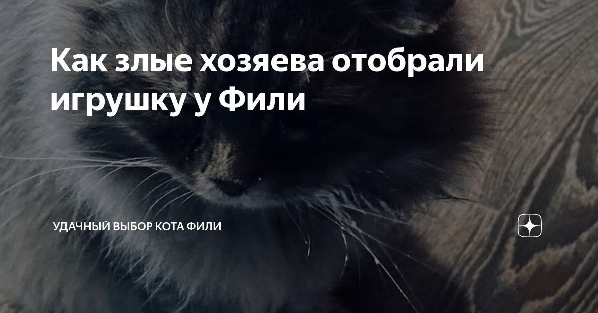 Как злые хозяева отобрали игрушку у Фили | Удачный выбор кота Фили | Дзен