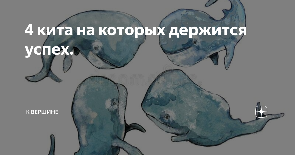 4 кита здоровья. Киты в океане. Три кита на которых держатся отношения. Голубой кит balaenoptera musculus. Сейвал в антарктиде.