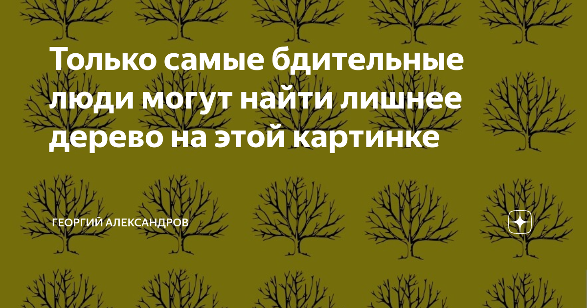 Деревца проверить. Найди лишнее деревья. Тест узнать дерево по фото. Как определить дерево поиска.