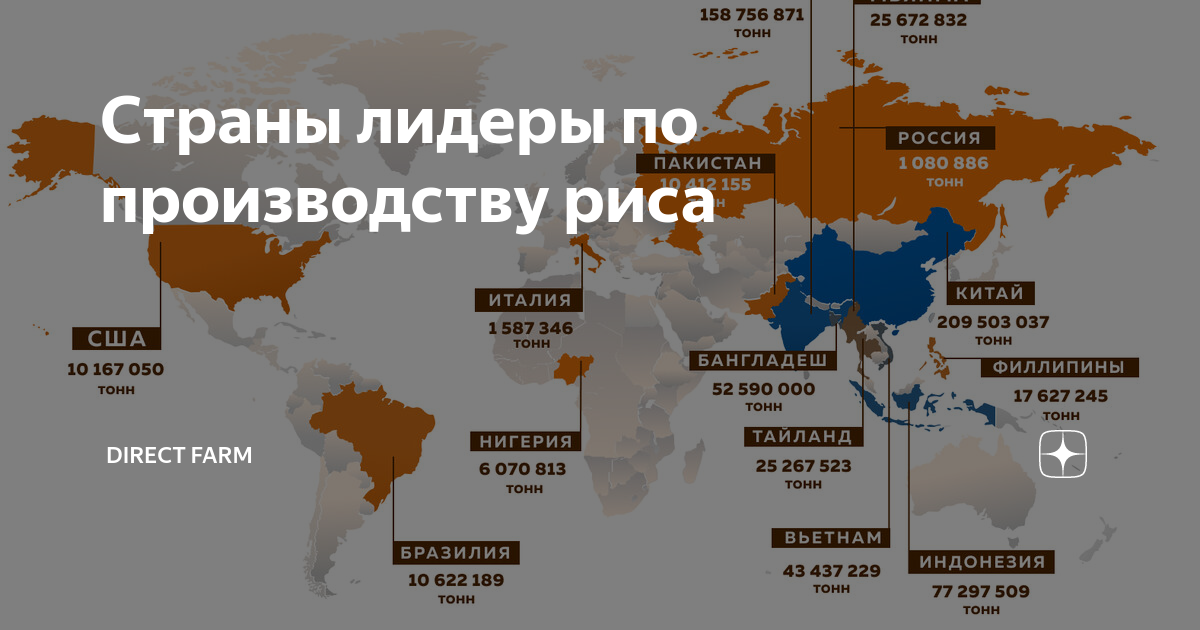 Индия является мировым лидером по производству. Страны Лидеры производства риса. Какая Страна является лидером по производству риса. Крупнейшие производители риса. Крупнейшими производителями риса в мире являются.