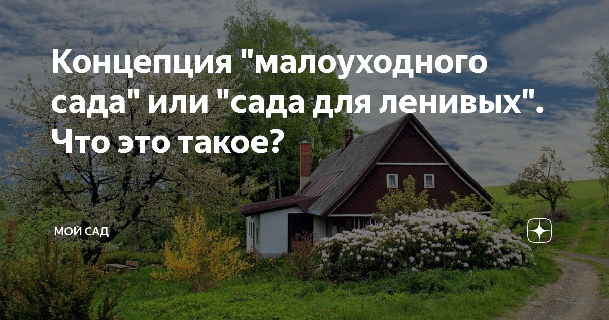 Концепция "малоуходного сада" или "сада для ленивых". Что это такое? Мой сад Дзе