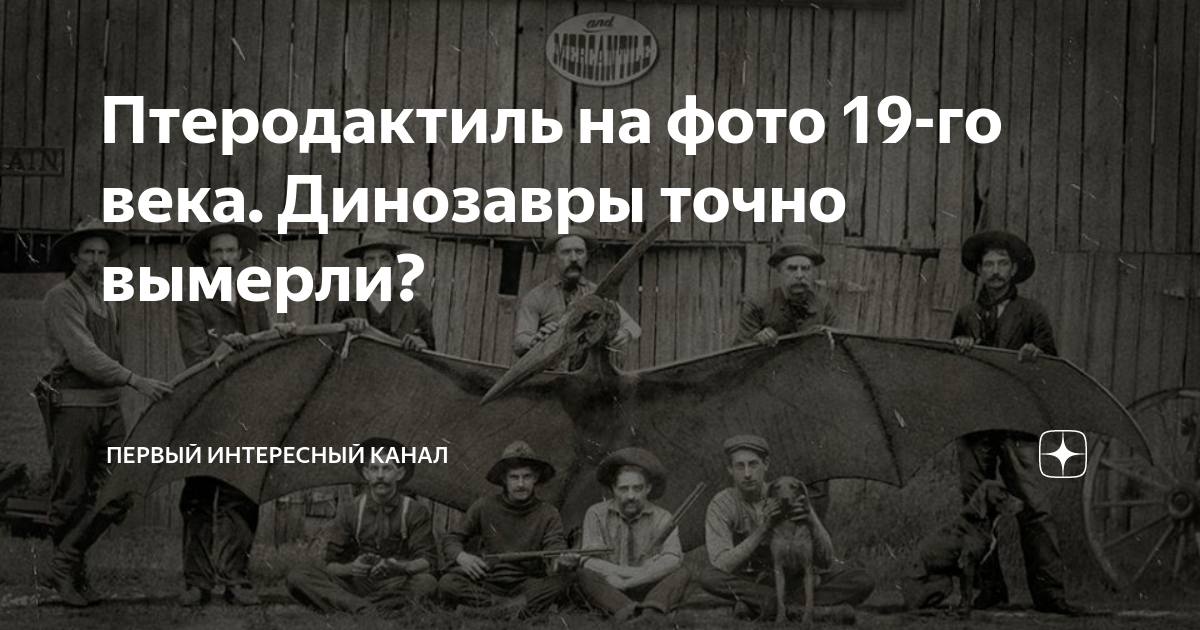 Фотографии с птеродактилем