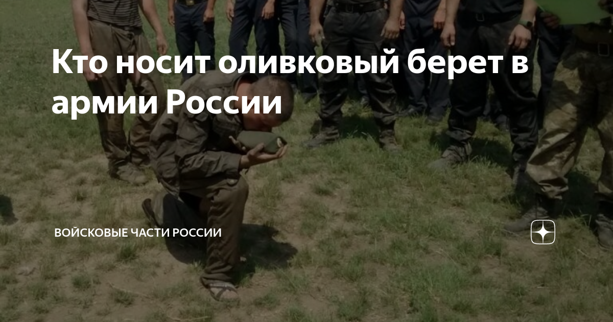 Кто носит оливковый берет в армии России | Войсковые Части России | Дзен