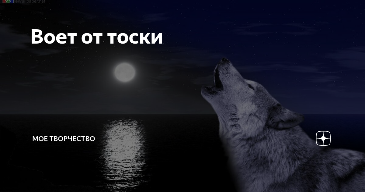 Вою от тоски. Воет волк от тоски. Сердце воет от тоски. Голос волчьей тоски.