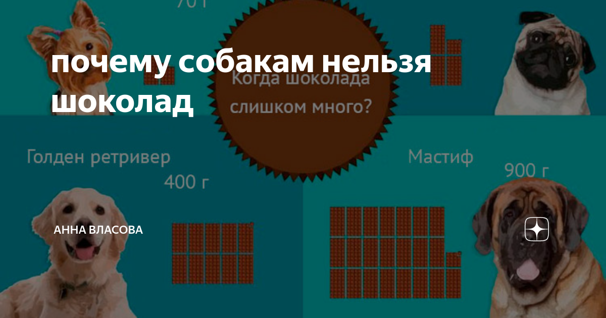 Собак ответы