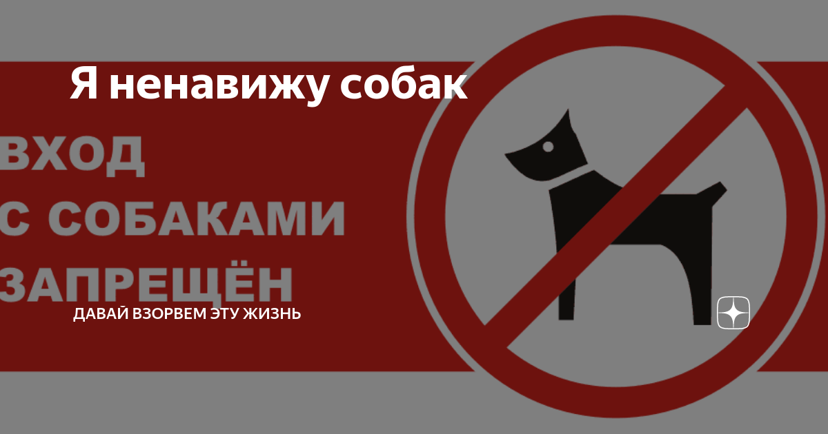 люди ненавидящие собак. шутки про зоозащитников. люди ненавидящие собак. нам до собак еще расти чтоб вровень. шутки про зоозащитников.