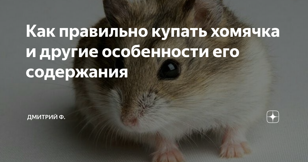 Выбор подходящей воды