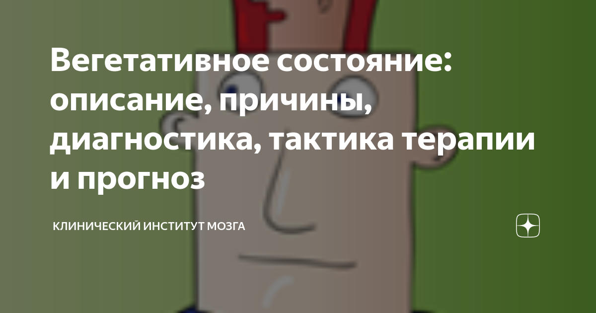 Вегетативное состояние: описание, причины, диагностика, тактика терапии ...