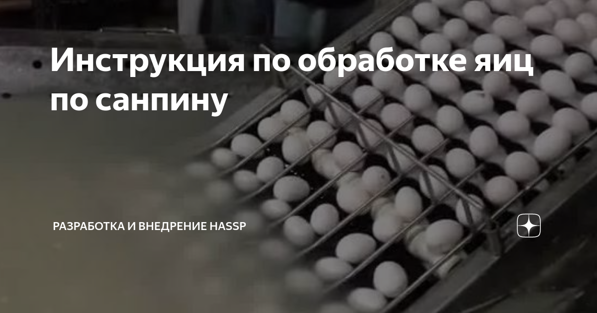 Инструкция по обработке яиц по санпину | Может пригодится | Дзен
