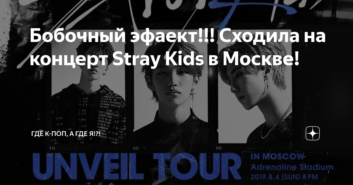 Stray kids купить билет на концерт 2024. Концерт Stray Kids в Москве 2019. Stray Kids концерт в Москве. Билет на концерт Stray Kids. Концерт Stray Kids в Москве 2022.
