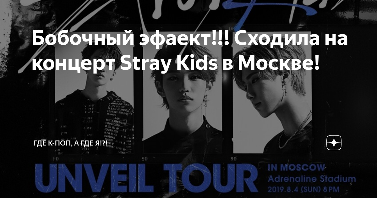 Stray Kids концерт в Москве. Билет на концерт Stray Kids в Москве.