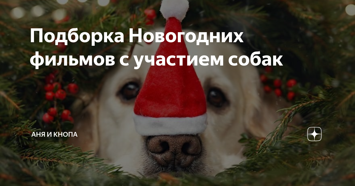 новогодний фильм про говорящих собак