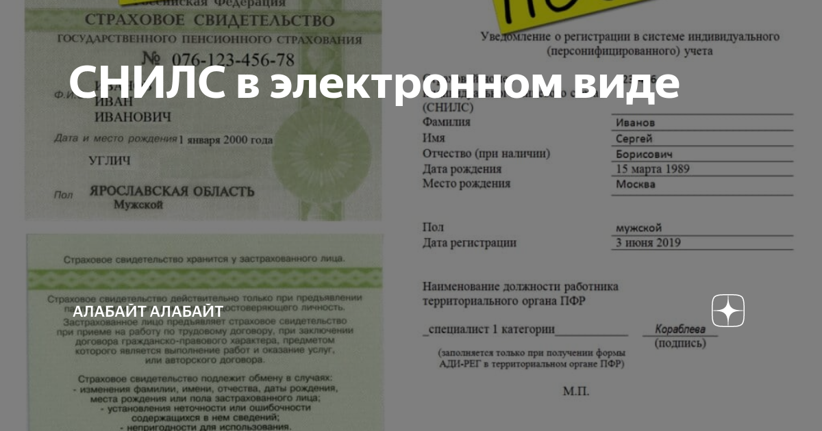 Документ регистрации в системе индивидуального персонифицированного учета. Уведомление о регистрации в системе индивидуального. Уведомление о регистрации в системе индивидуального учета Ади-рег. Форма Ади рег СНИЛС. Копия уведомления о регистрации в системе индивидуального учета.