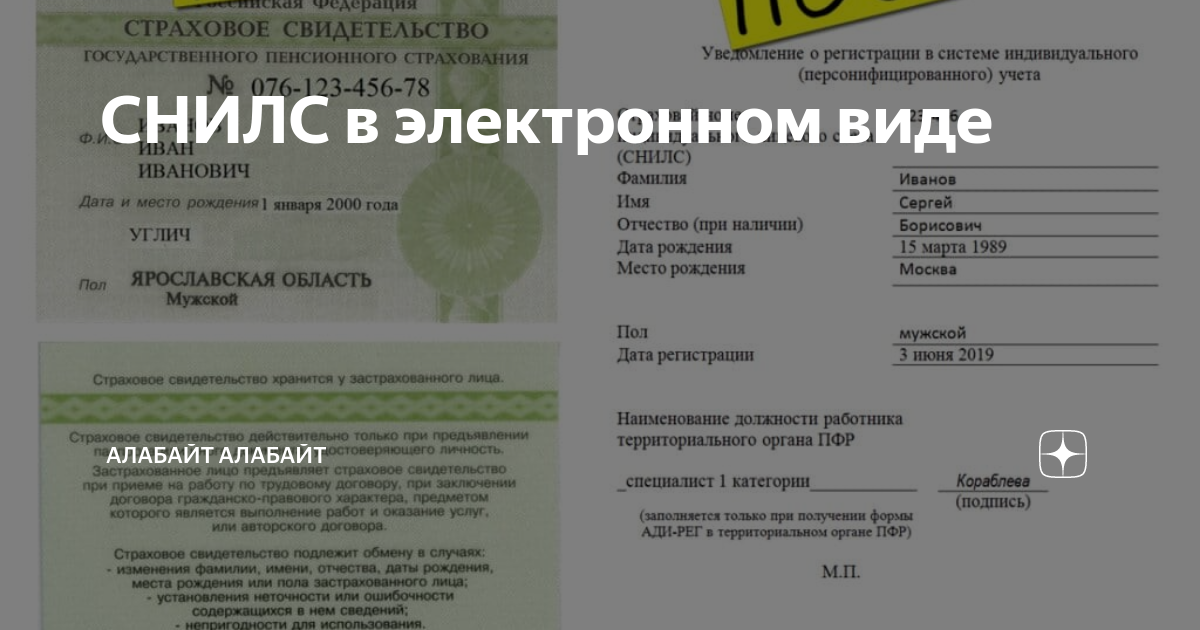 Снилс ади рег. Уведомление о регистрации в системе индивидуального. Уведомление о регистрации в системе индивидуального учета Ади-рег. Форма Ади рег СНИЛС. Копия уведомления о регистрации в системе индивидуального учета.