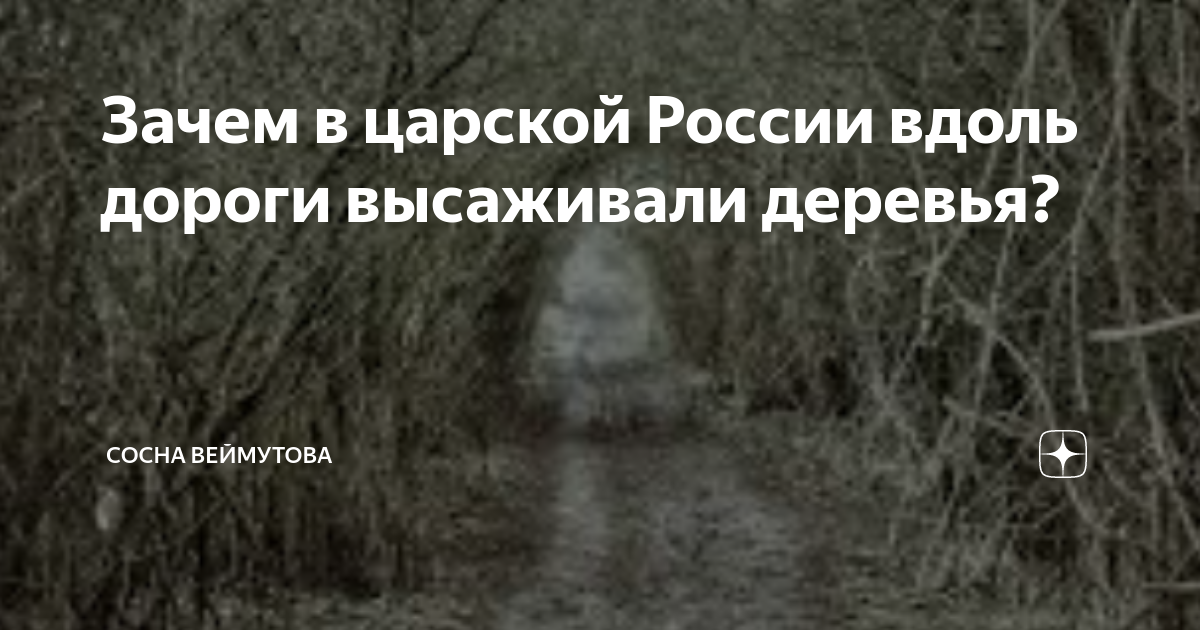 Под кронами старых деревьев. Не пора ли реконструировать городские дворы?