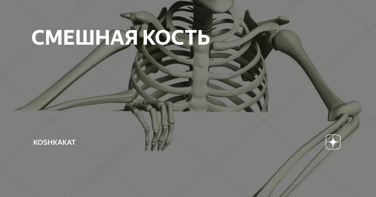 СМЕШНАЯ КОСТЬ | KoshkaKat | Дзен
